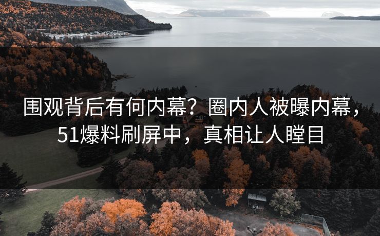 围观背后有何内幕？圈内人被曝内幕，51爆料刷屏中，真相让人瞠目