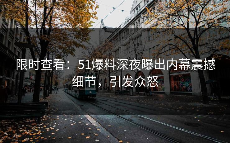 限时查看：51爆料深夜曝出内幕震撼细节，引发众怒