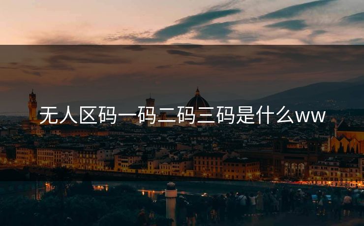 无人区码一码二码三码是什么ww