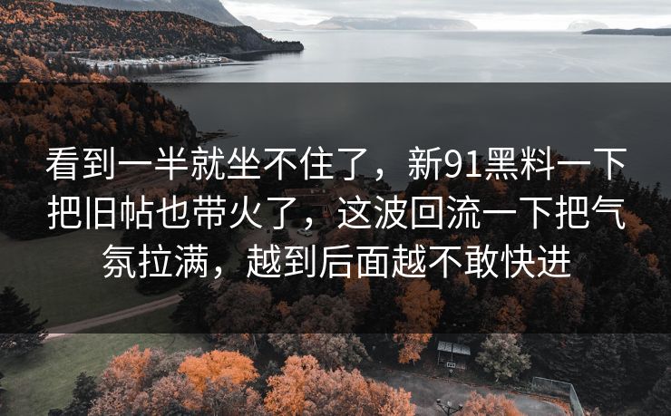 看到一半就坐不住了，新91黑料一下把旧帖也带火了，这波回流一下把气氛拉满，越到后面越不敢快进